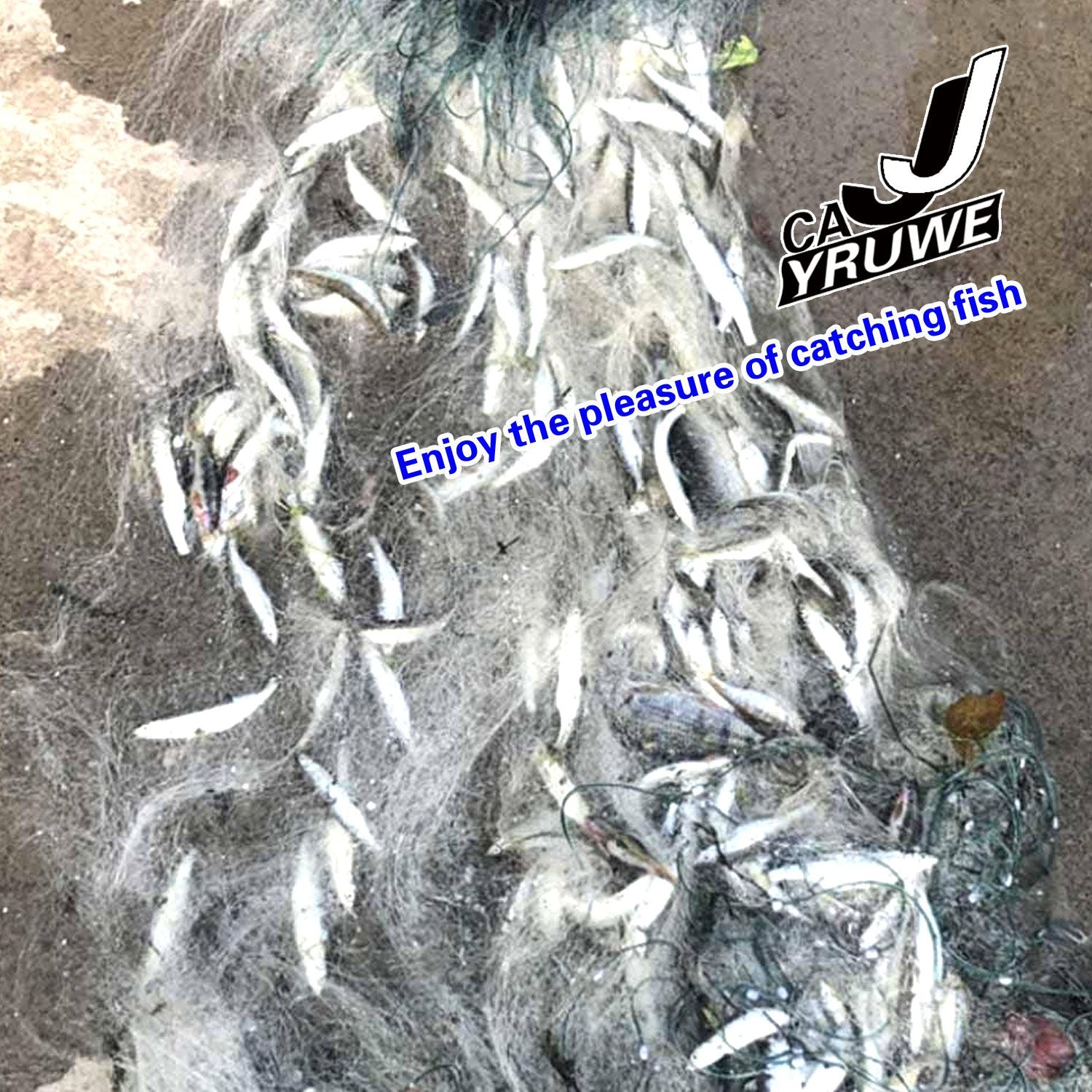402737111